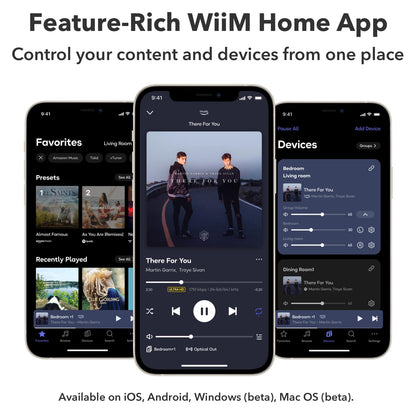 WiiM Ultra Music Streamer & Digital Preamp | 3.5" Touchscreen, Compatible with Google Cast & Alexa, Stream Spotify, Amazon Music, Tidal & More | HDMI ARC, Phono Input & Headphone Output | Silver